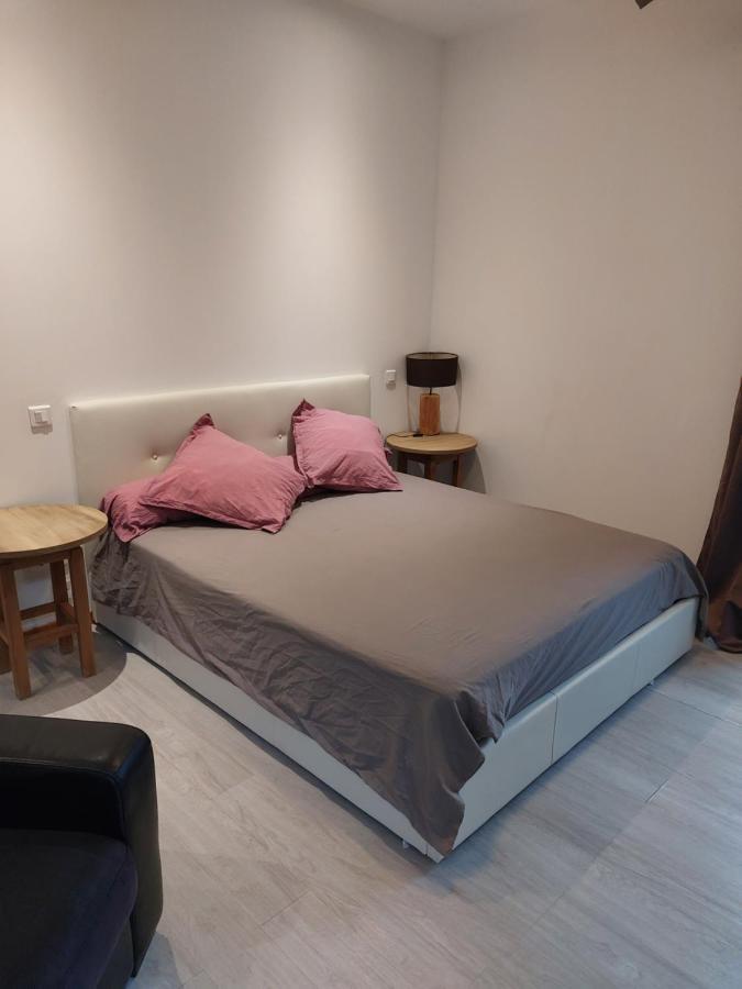 Studio Meuble Au Pied Du Mercantour Fontan 외부 사진